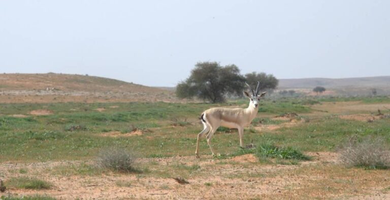 0471ba92 15b8 4a18 9eac cba3d513df37 file.jpg