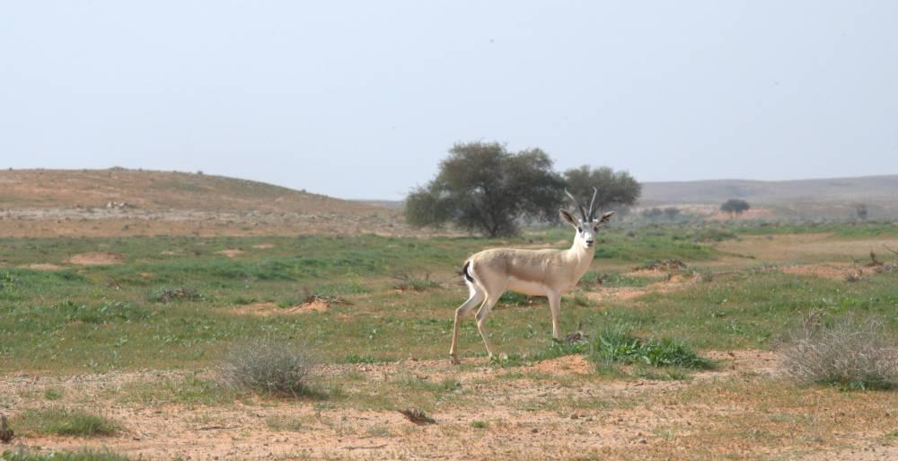 0471ba92 15b8 4a18 9eac cba3d513df37 file.jpg