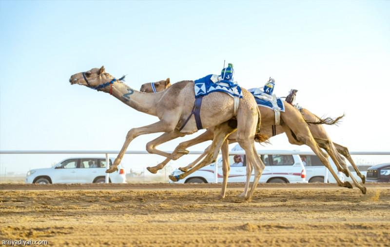 058daba6 5524 4ae1 9bfc 23878a771f66 file.jpg