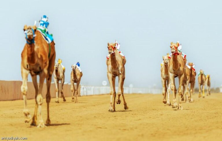 0628cfa7 8aa4 42c4 81b0 f98f463e8777 file.jpg