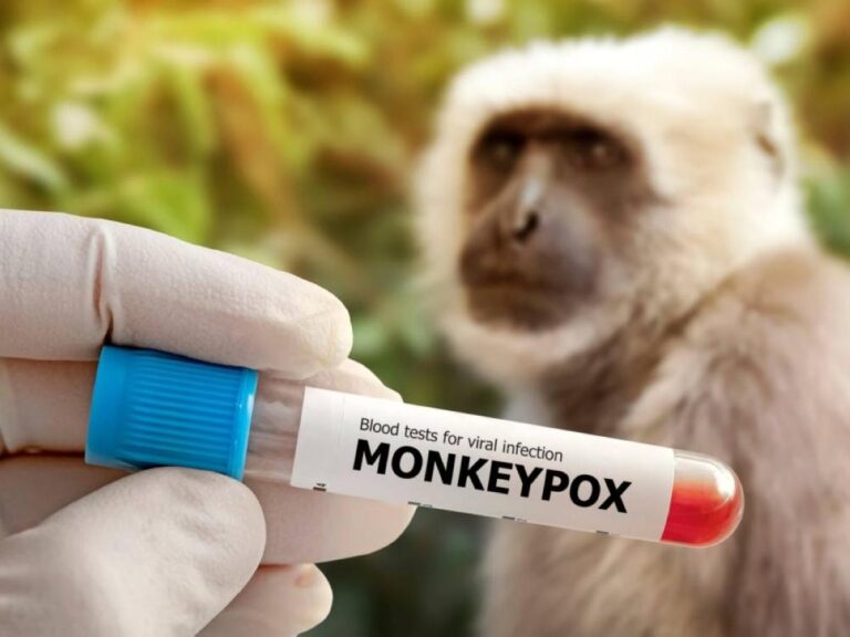 07c482e9 6c9a 43fe 8a69 506357bbaffd file.jpg