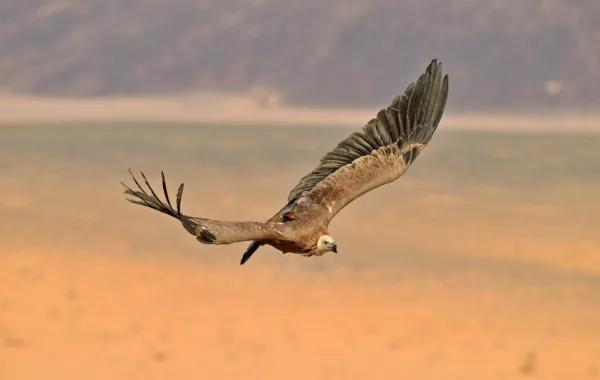 0a349891 497c 45f1 bb96 746ea06a6799 file.jpg