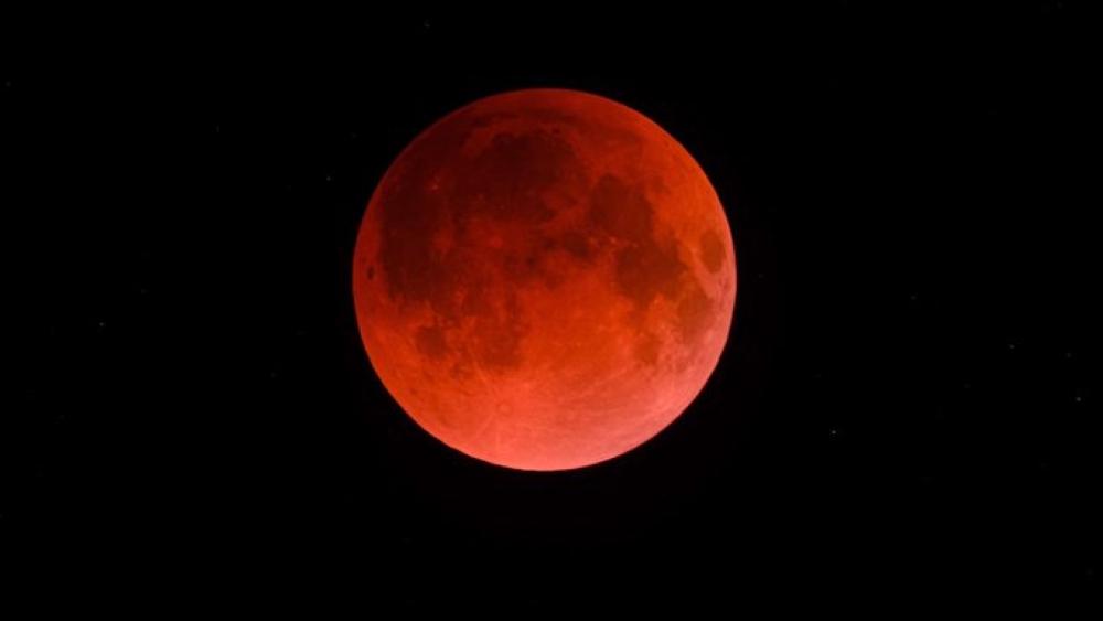 0cbd671f 7e2a 4167 a202 d172d09ea1ce file.jpg