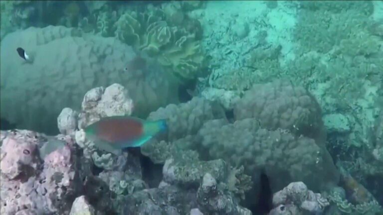 0d182f42 a014 42d0 ae48 aeeb4c1bd498 file.jpg