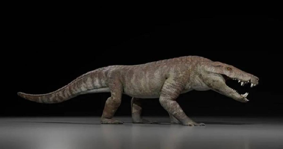 1129ccc7 ffa4 4b2c a393 7d39174aad79 file.jpg