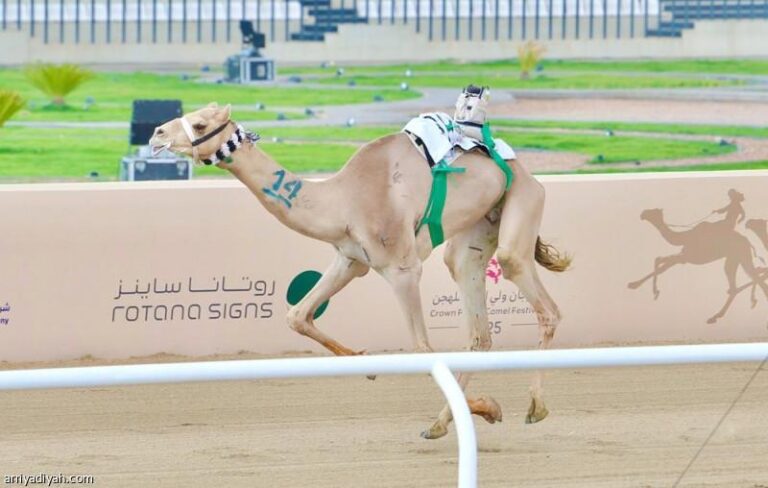 11d3bb29 f447 496d a4f9 c648fa3b1109 file.jpg