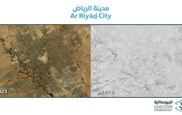 13338138 3a62 4839 8fee 919de3ab71a3 file.jpg