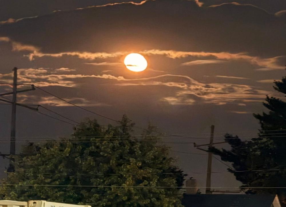 147a997a 9814 4c46 ae4c 476ae90982dc file.jpg