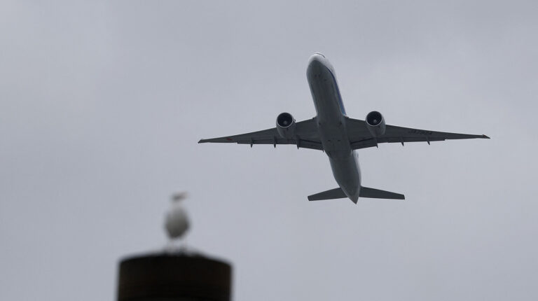 14c25de4 ce7f 4622 b301 1b2caffd8053 file.jpeg