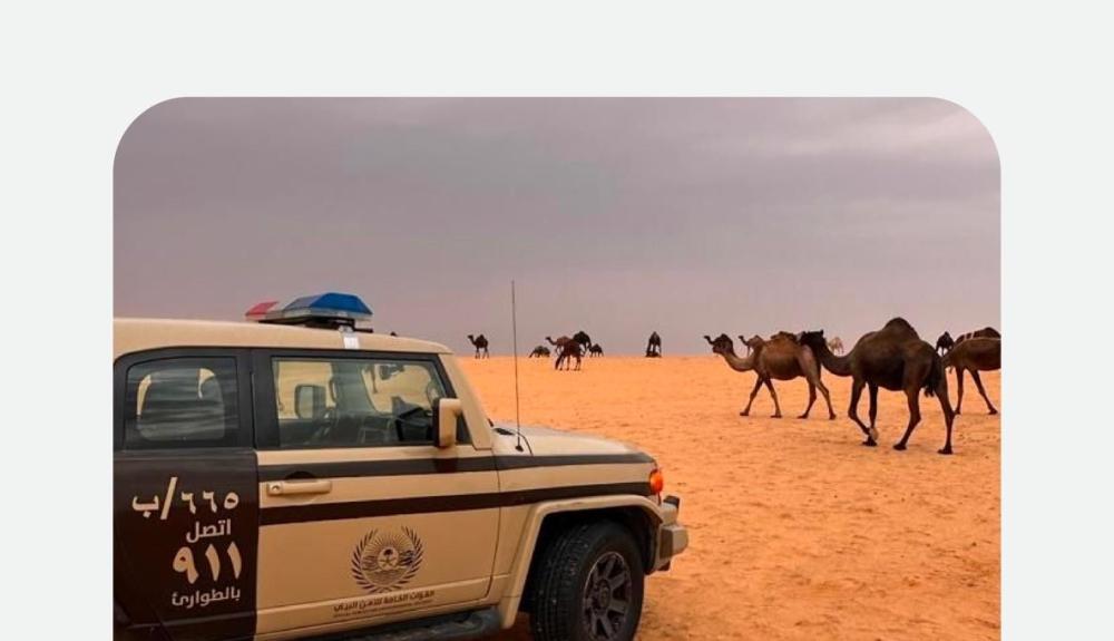 1d90e615 bfb7 4d1a 9ee2 3c933bc0e55b file.jpg