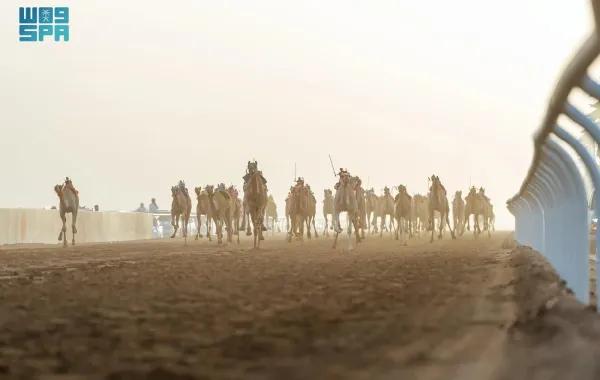 1da03f4e 52d3 4915 9b9e 6a11278ea2dd file.jpg