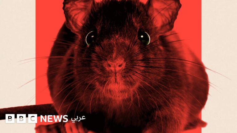 1e0d4756 bcbd 4f23 b0b1 bcebee39e044 file.jpg