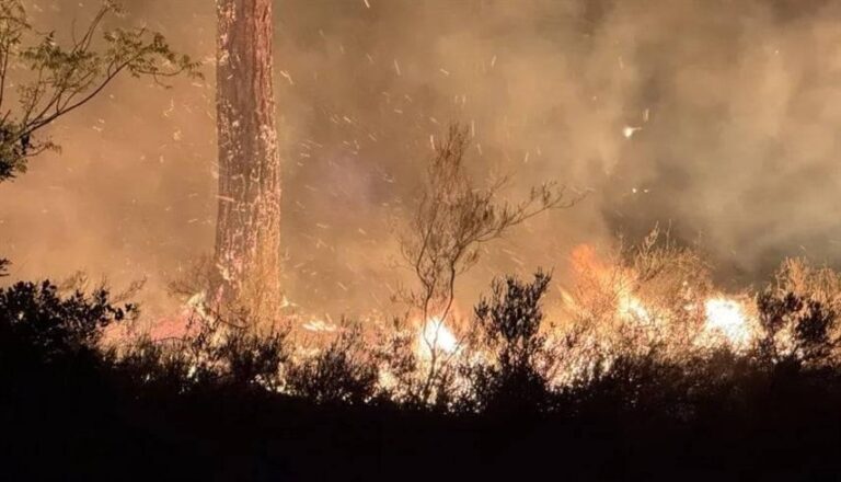 21feaa16 c134 4dfa 803d 672a6c295b2f file.jpg