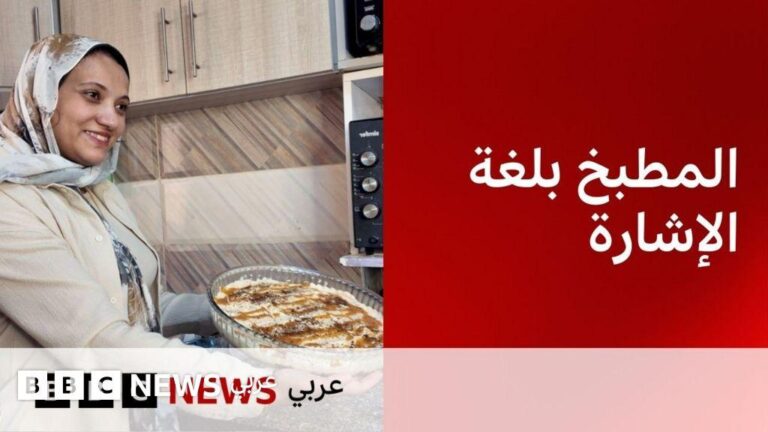 2565f7d1 0f6b 4e82 98d5 dc0ef05d1e4d file.jpg