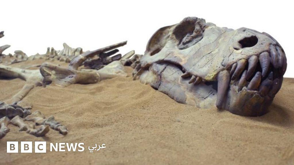 2950f06e d2f2 489d ba23 7316018b9c83 file.jpg