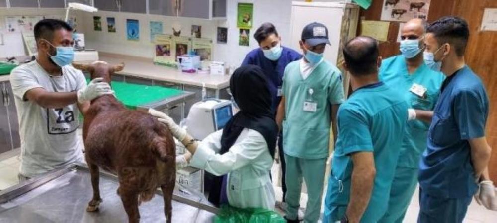 298c3511 ec25 47bd 9f02 1903da9b860e file.jpg