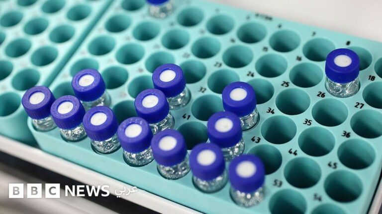 2d106942 3b81 407b bcd4 6da4409e1097 file.jpg