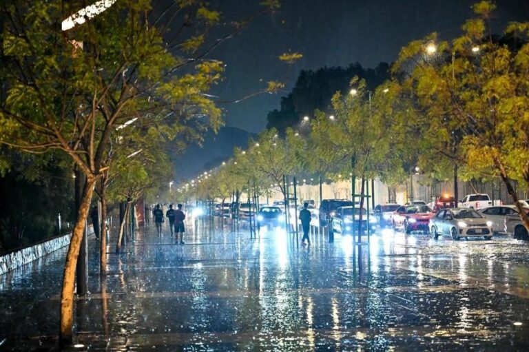 2d134d5b 69ea 4648 9f93 33989c18e8d7 file.jpg