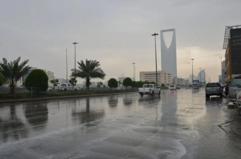 2e011016 c766 4201 9ded 650bdadb17f7 file.jpg