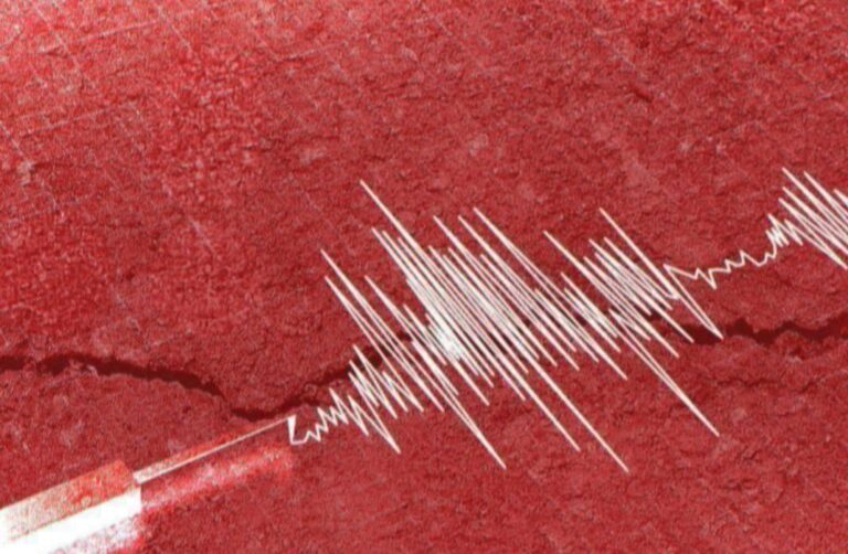 2f95e026 d350 48d7 a633 17251c2ff36c file.jpg