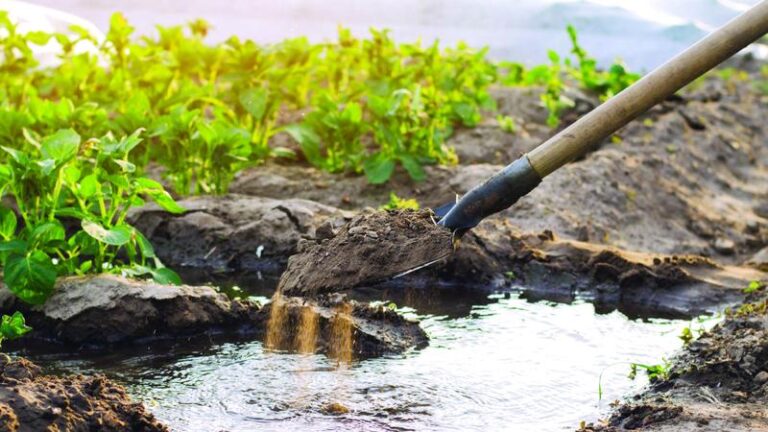 31f67c84 0ccc 4727 87fd ed167e475224 file.jpg