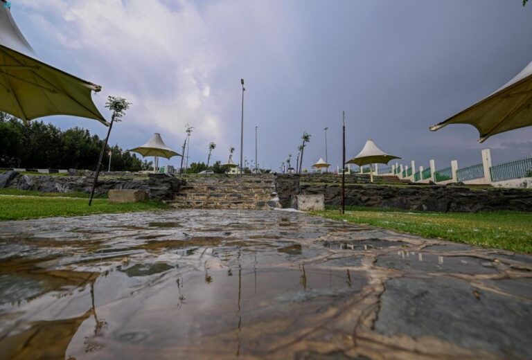 32c1d3c1 612f 47bc 861f cdac7d579848 file.jpg