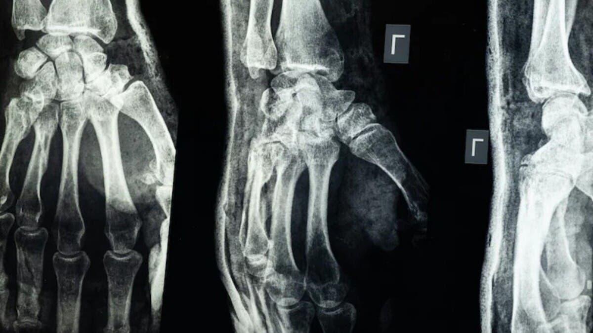 399543ac 3062 4440 820a 59576aa61232 file.jpg