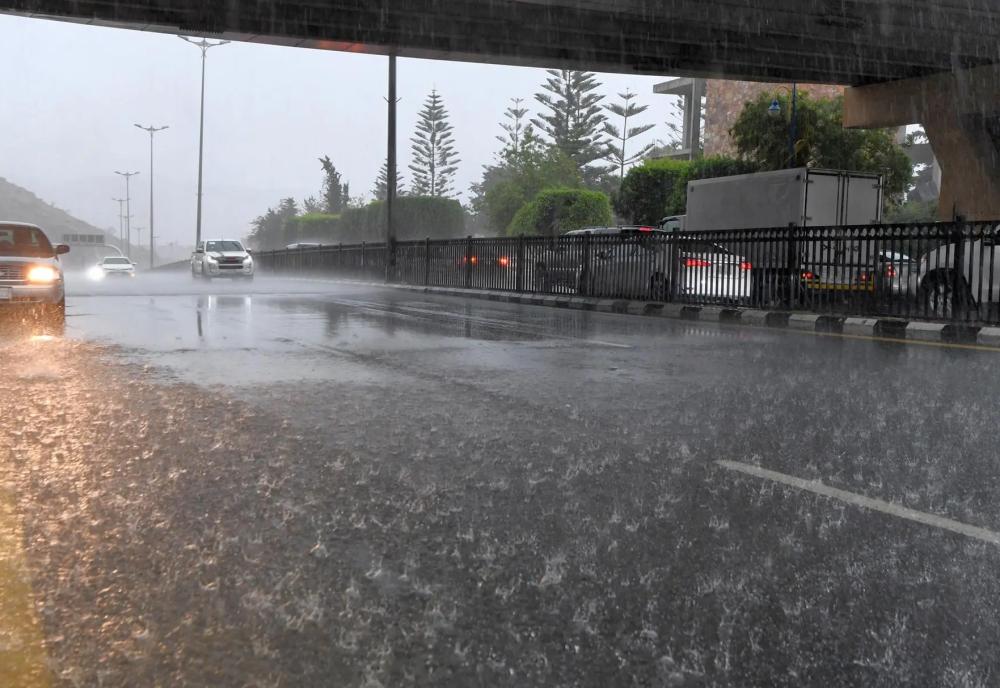 39a966a4 f2d2 4d43 8141 b30aa9976b24 file.jpg