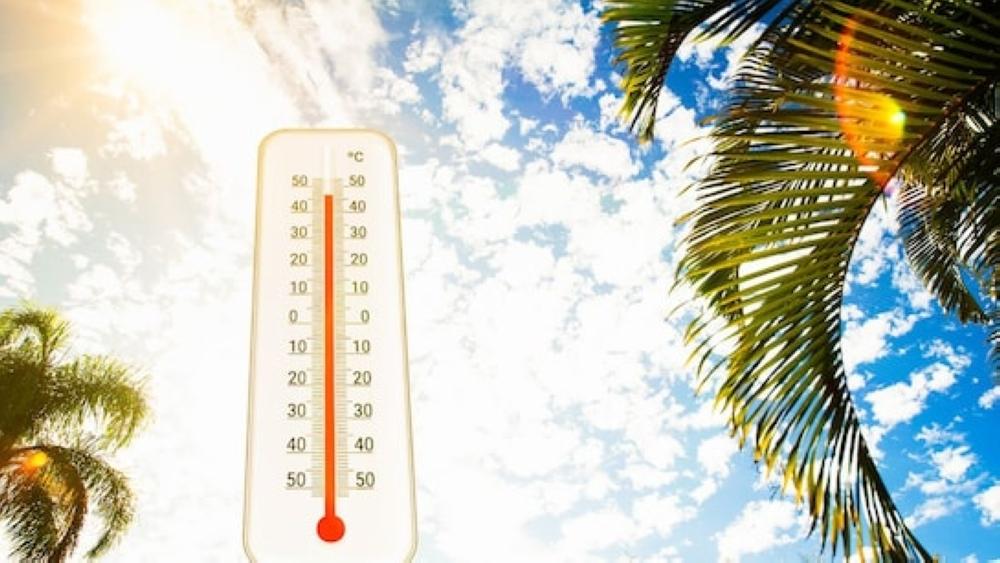 3a52f639 3574 40e3 b107 ae50978c2d9f file.jpg