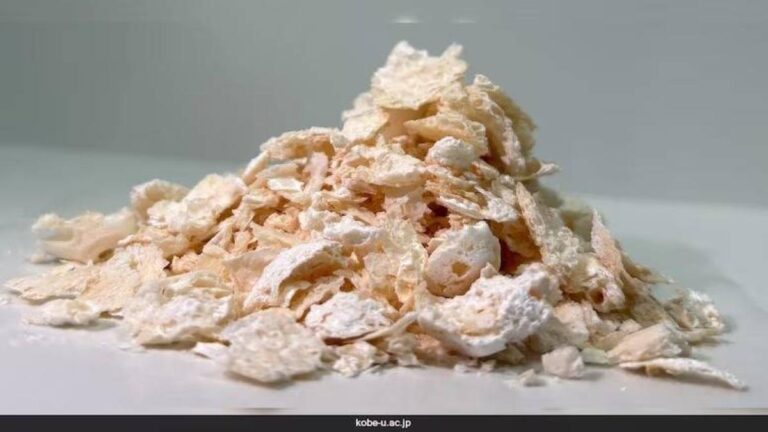 3d60abe1 ee03 4c8d bb4c 036b849c6eb4 file.jpg