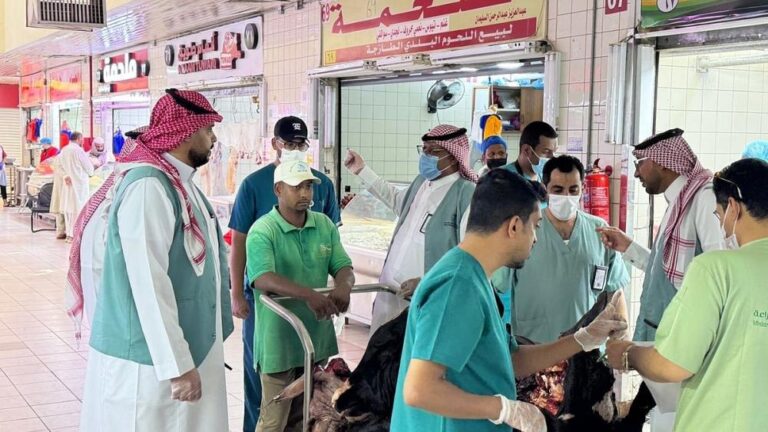 3eb33156 6a0e 4303 98eb 018cfa92cd89 file.jpg