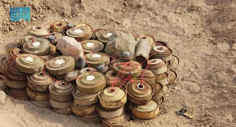 43a19478 cc61 4c05 9f08 da6823a2299a file.jpg