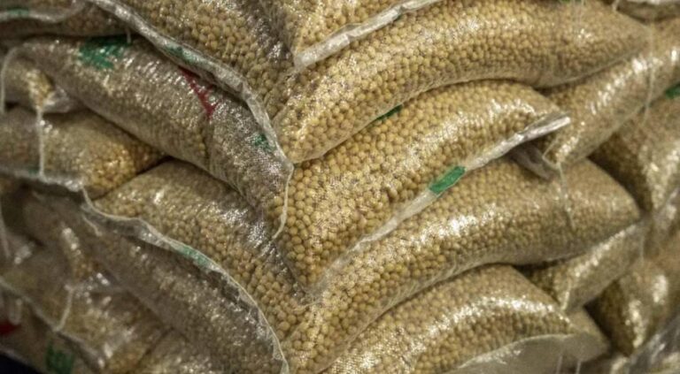 44e4cf7e 82a5 4e37 89a1 138037b3f035 file.jpg