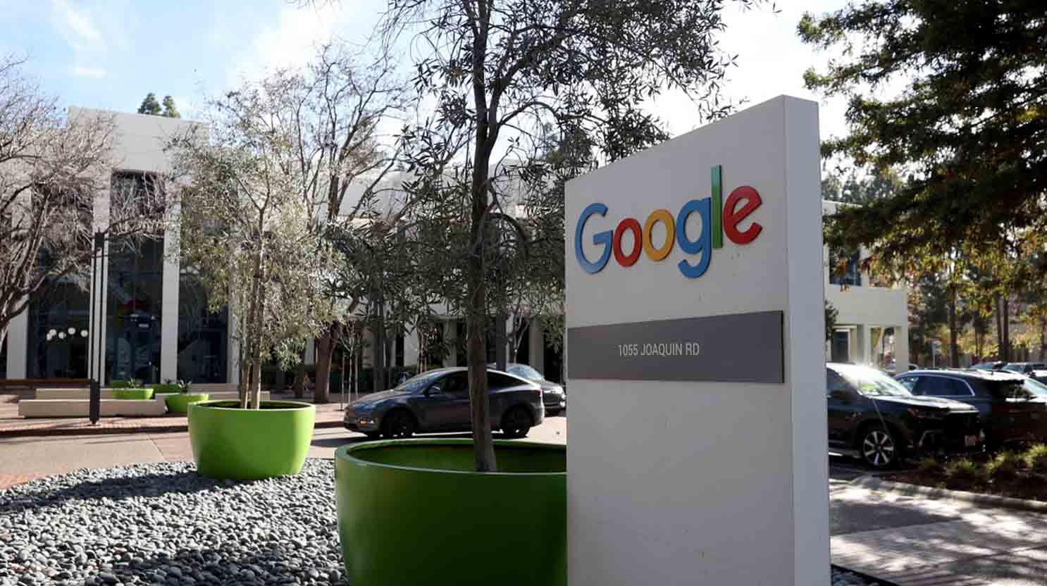 458590ca 2d05 4953 a7c0 ec30fc83dc3d file.jpeg