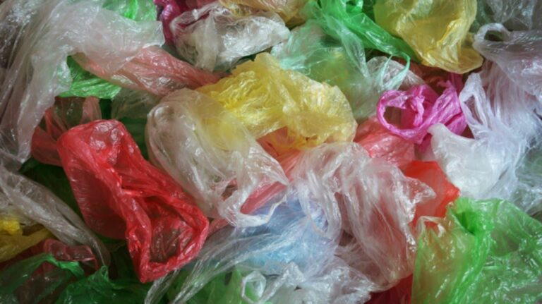 476a1bbb 6c0d 4165 8958 81f1e6726192 file.jpg