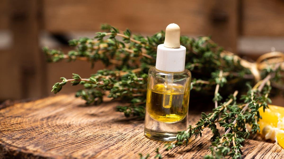 4ee12b1d a488 4a8d bc05 b747f7cfda9f file.jpg