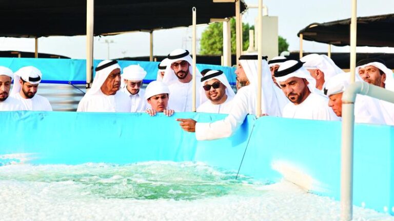 50665f70 05f8 480a 8266 c440da4b1a41 file.jpg