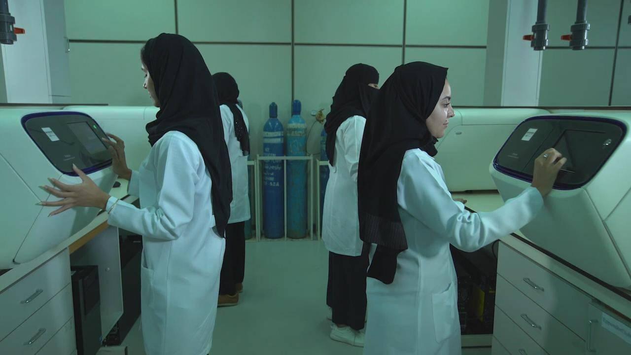 50cb41f5 4e75 4727 bc17 987186099c83 file.jpg