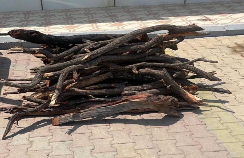 52304925 8b78 40c8 ab7a 525034f145c7 file.jpg