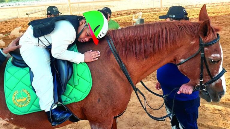 538aec2e 491d 423a beae 7d9b54ee9fd6 file.jpg