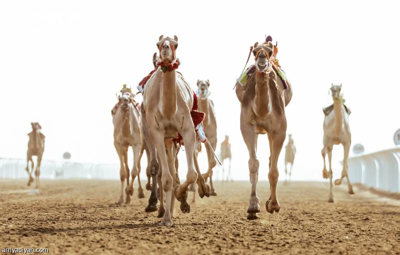 538b4bae d76a 4ad3 b2a8 b758ab63a57f file.jpg