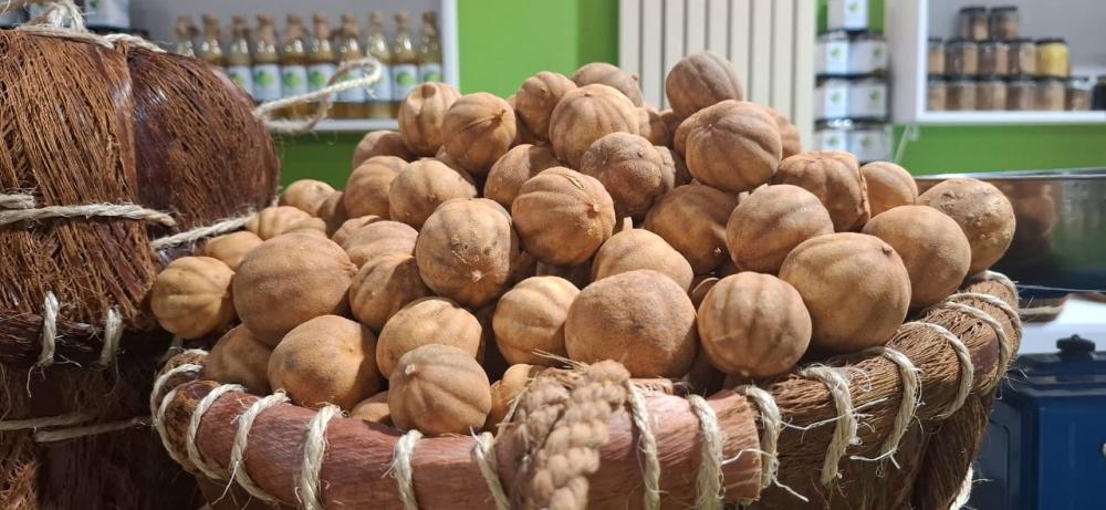 55c7d074 d70b 4eba 8b34 5078ef6bb0e8 file.jpg