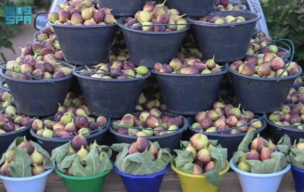 57e91cfb 8c5a 4dfc bcac 85790cea4e6d file.jpg