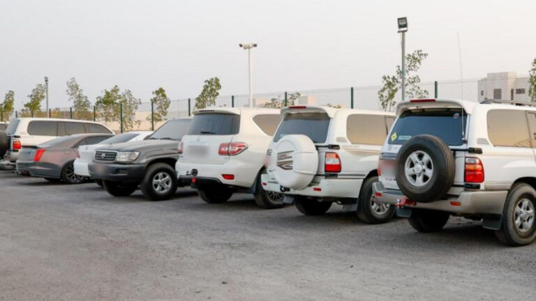 584f86b9 42a6 4bd5 8e13 2a4182e38b50 file.jpg