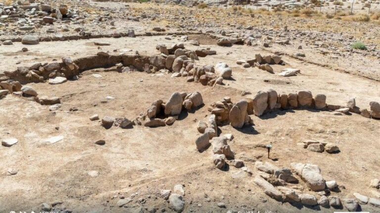 5bd0426c f6f5 4948 a43e d203b7a5cfdd file.jpg