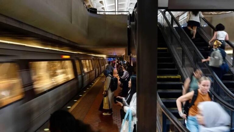 5ecf1150 d5ea 4d4a 9227 c3d5ed99e90a file.jpg