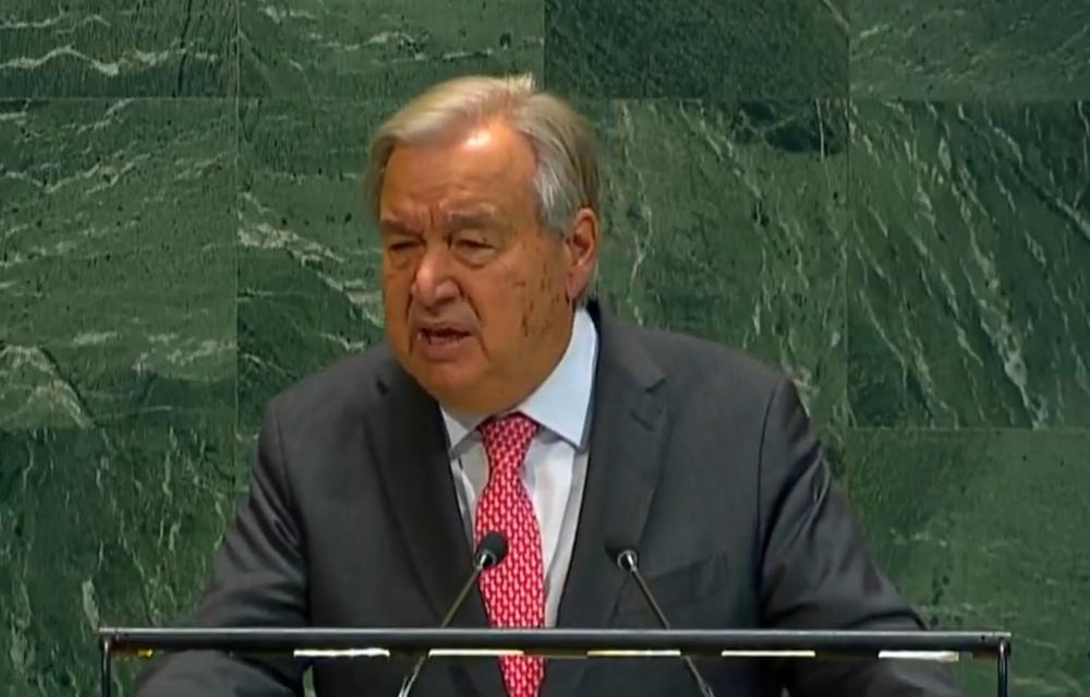 604cfeba 9b21 4daf 8aa9 3ecc6eeaf2be file.jpg