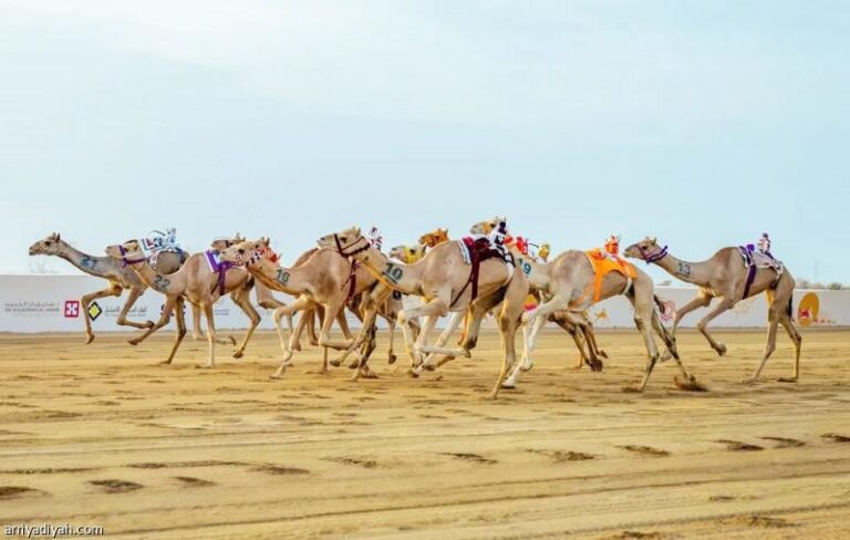 62a0183f 079c 4381 98ea a9ffffa0dd40 file.jpg