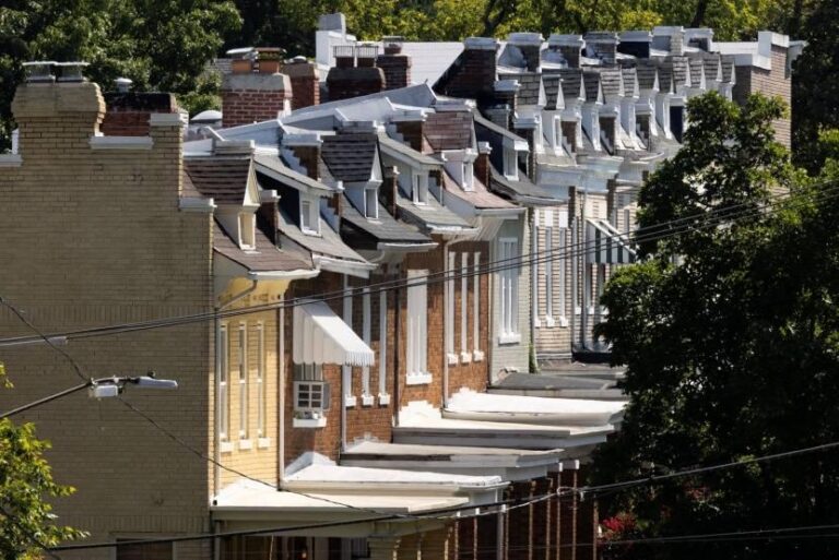 63a68de5 fa37 4046 bd2b 1e133a02363f file.jpg