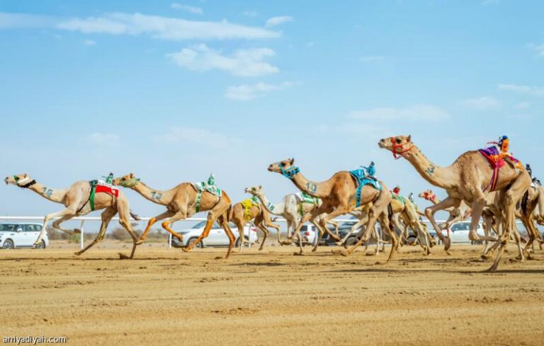 65920b20 3aae 4218 9a2e f978b66ed75e file.jpg